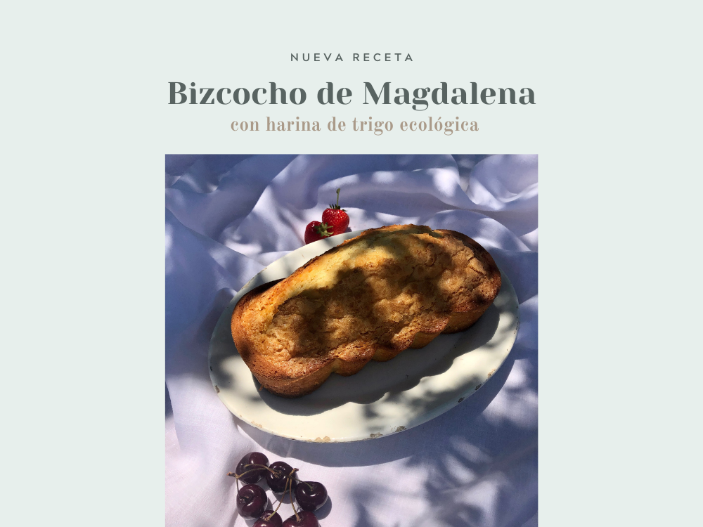 Receta-Bizcocho-de-Magdalena-casa-dels-peixos-1.png
