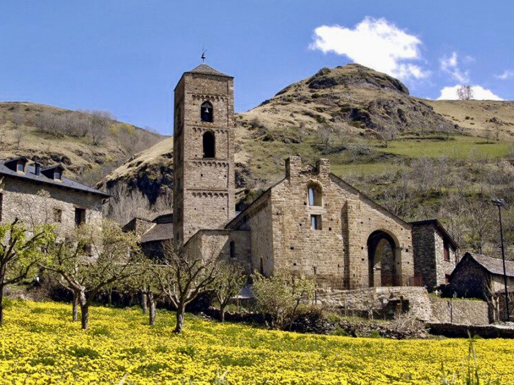 Durro, Parish Church of La Nativitat, meadow full of flowers.