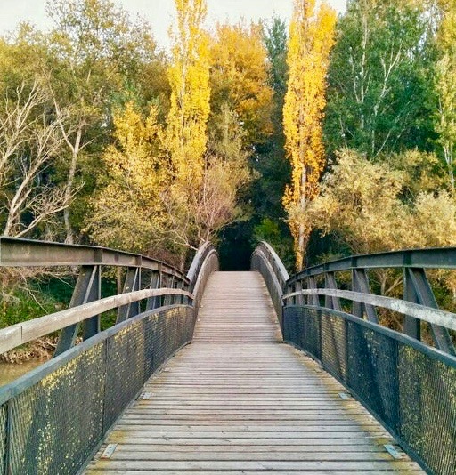 Parc de la Mitjana zonas verdes y húmedas con puente