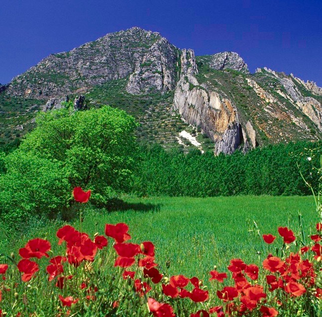 Espai Natural Protegit de la Serra del Montsec barrera de montañas rocosas