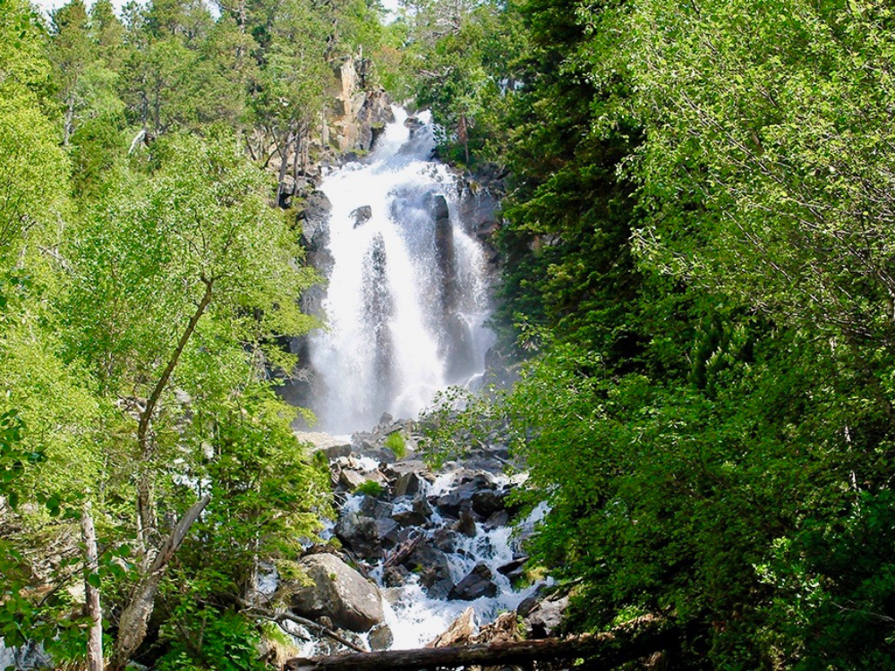 Cascada de Ratera, bosque frondoso y pendiennte en el centro una impresionante cascada de agua