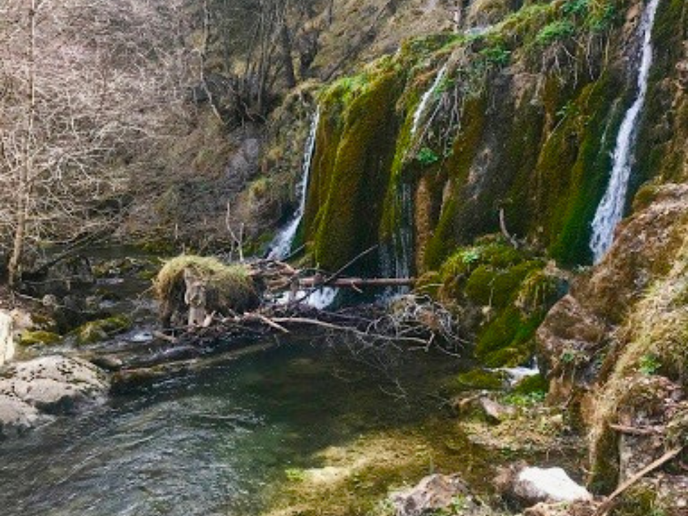 Cascada de l’Escala Alta, salto de la cascada llena de musgo llegando al río