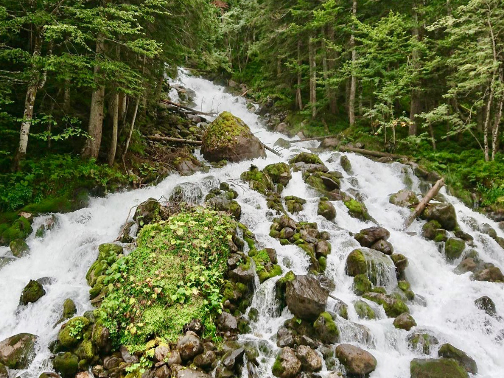 Uelhs deth Joèu, cascada d'aigua envoltada de vegetació verda i avets. Entre l'aigua surt la molsa i les pedres negres de la muntanya