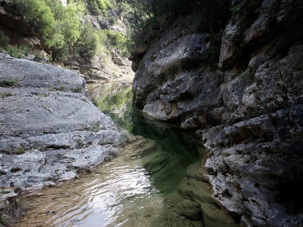 Barranc del Bosc, water snake bordering rocky walls and vegetation.