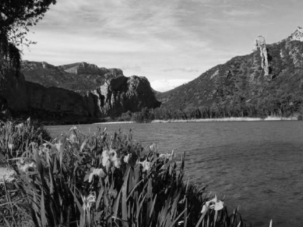 Estany de Sant Llorenç de Montgai,en primer plano flores silvestres, detrás un lago con aguas tranquilas, al fondo, parte de las montañas que lo rodean