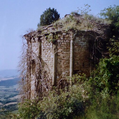 Vista de l'absis de la canònica de Sant Miquel (època romànica) amb una vegetació espessa apoderant-se de l'estructura. Al fons el pla.