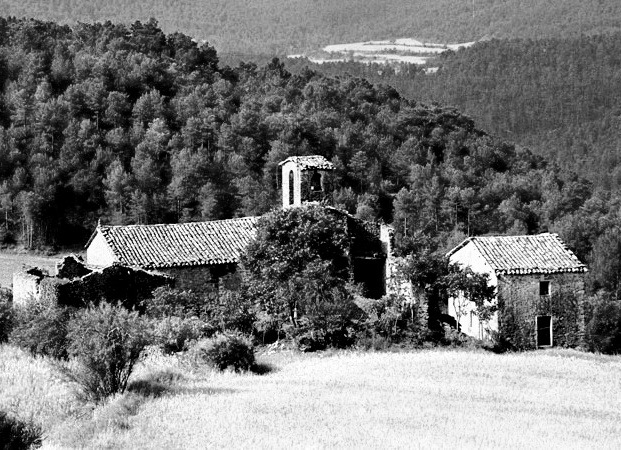 Al fondo bosque frondoso de pinos, encinas y robles, también campos cultivados. En primer plano parte de la iglesia de Sant Andreu del Puig y la escuela. Delante se puede ver también un campo cultivado de trigo . Foto en blanco y negro