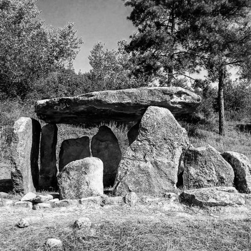 Full view of the dolmen. Seven lateral stones and a large one acting as a roof surrounded by trees. Black and white photo