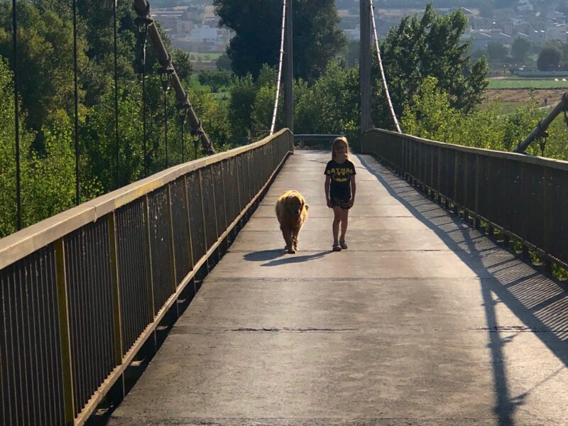 Girl and her pet walking across a bridge in an idyllic landscape of a rural region of l'Alt Urgell.