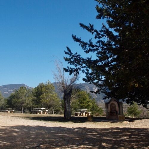 Picnic area with tables in the sun also under the shade of the trees. View of the mountains blue sky without any cloud