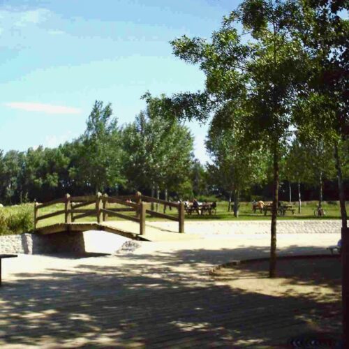 Picnic area, with its tables and trees that provide a perfect shade for a picnic.