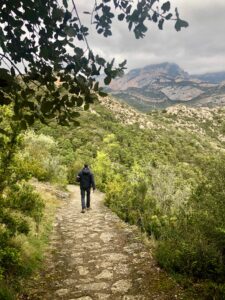Vista d'un excursionista d'esquena caminant per un camí de pedres, pels costats bosc espès, al fons unes muntanyes rocoses