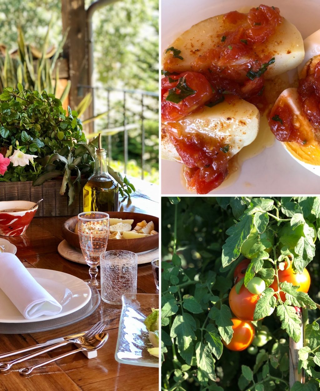 Receta – Vinagreta de tomate – casa dels peixos Receta - Vinagreta de tomate - casa dels peixos